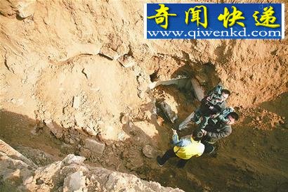 ���Ϸ��ֽ�Ԫʱ�ڹ�Ĺ �¡Ĺ�����Ͼ���