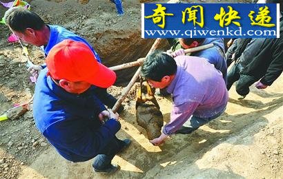 ��Ĺ��Ӱ׷�٣�̫��Ĺ���ѻ� �丸���μ���̫��