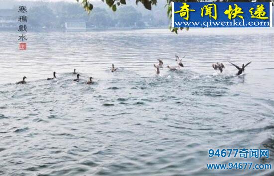 盘点中国十大古筝名曲,十大古筝名曲排名