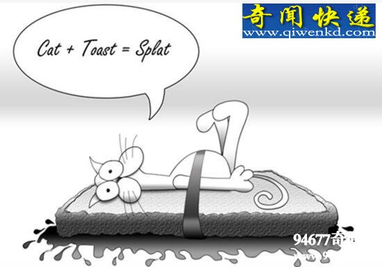 黄油猫悖论,无限旋转的永动猫(不成立)