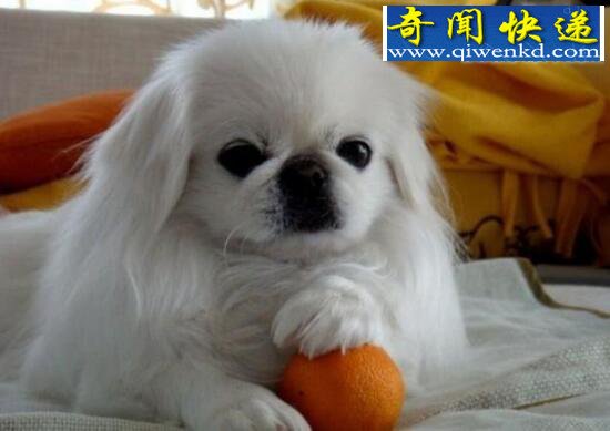 ͹ж೤һɻ1317(34)