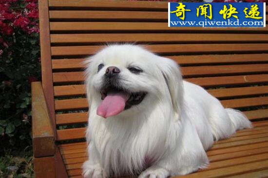 ͹ж೤һɻ1317(34)