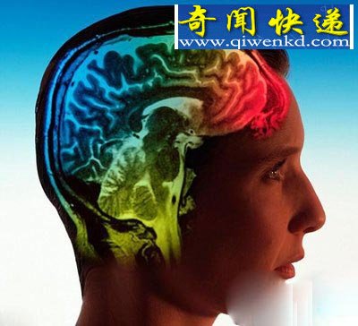 人脑将上传到电脑 你敢相信这是真的吗?