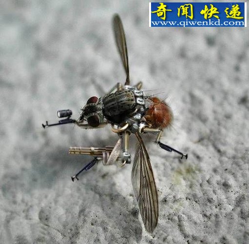 (图)生物间谍战进入白热化 美专家研究出细菌暗码