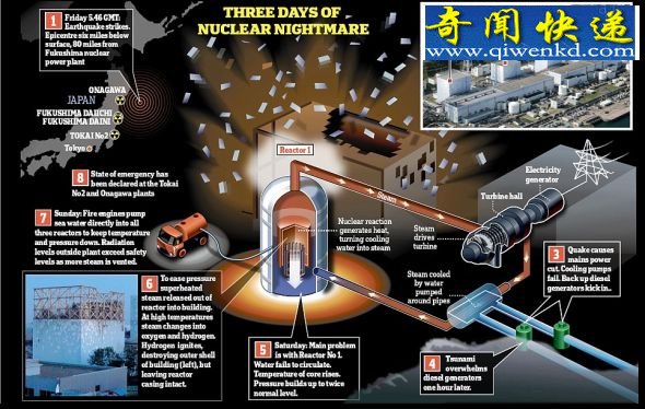 核电站结构图。 专家称日本福岛核电站不会变成切尔诺贝利第二