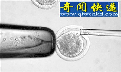 五大荒诞却实际存在的科学概念
