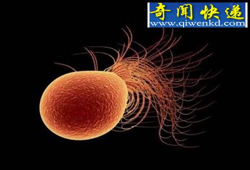 二氧化碳或成未来能源