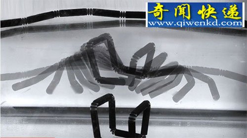 “4D打印技术” 材料可按编程变形/图