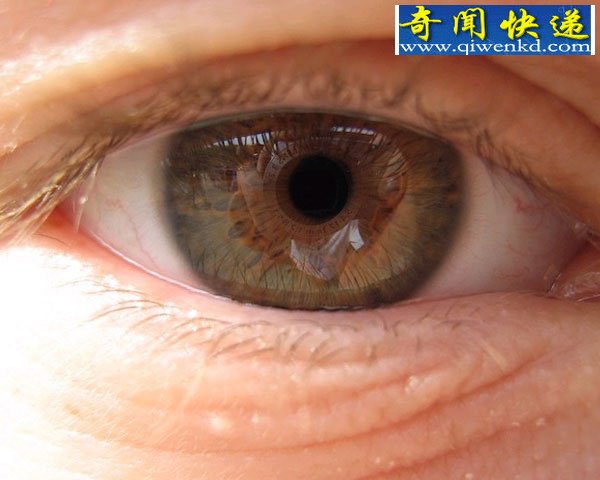未来用户身份验证:眼球运动