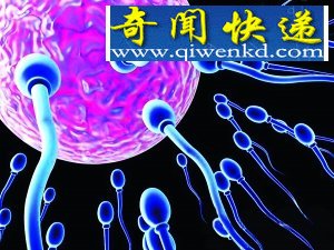 (图)生命研究新突破:女性身体培育“人造精子”