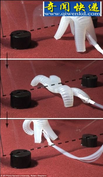(图)美研制新型软体机器人可似蠕虫爬行