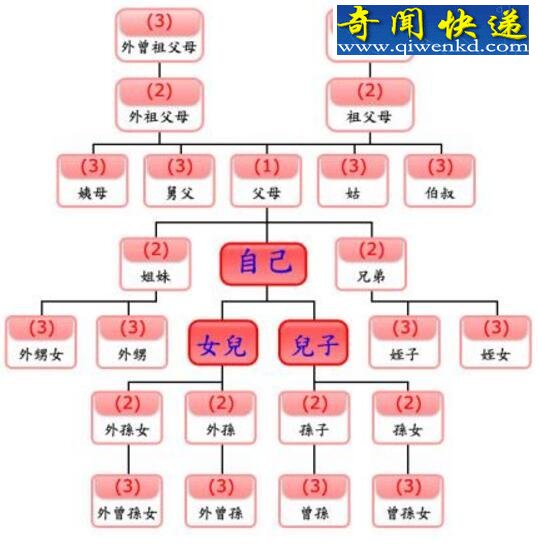 诛九族是哪九族,揭秘旧社会诛九族的原因