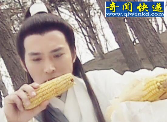 杨宗保是谁的儿子,杨宗保是怎么死的