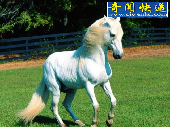 ̵еĴǿǧĳ