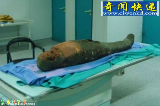 在这具木乃伊的头骨内,科学家发现了大脑移除工具 距今2400年木乃伊头骨内发现大脑移除工具