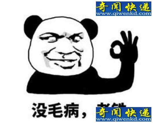 盘点2017年十大网络热词,当然是选择原谅她啊