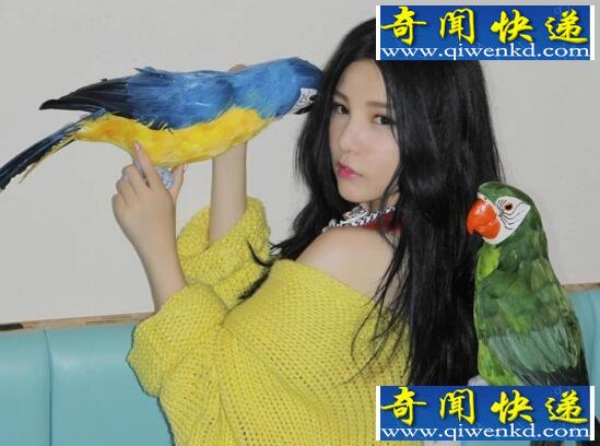 本兮死了没,死了(形象亏损不堪重负自杀)