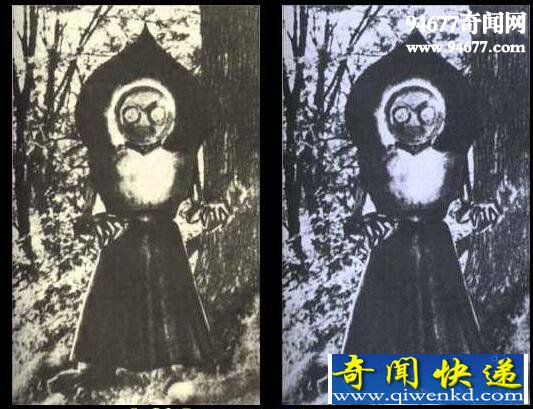 盘点世界十大怪物,弗拉特伍兹怪物(散发毒气致死)