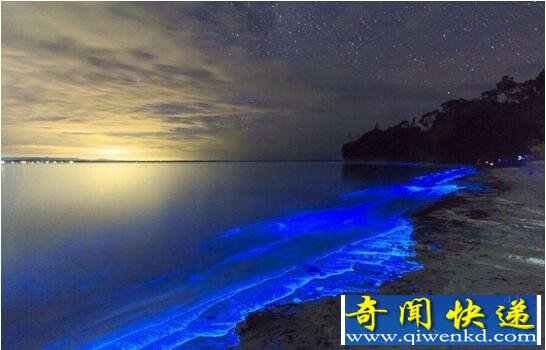 世界上最美丽的海滩,荧光海滩会发光(太美了)