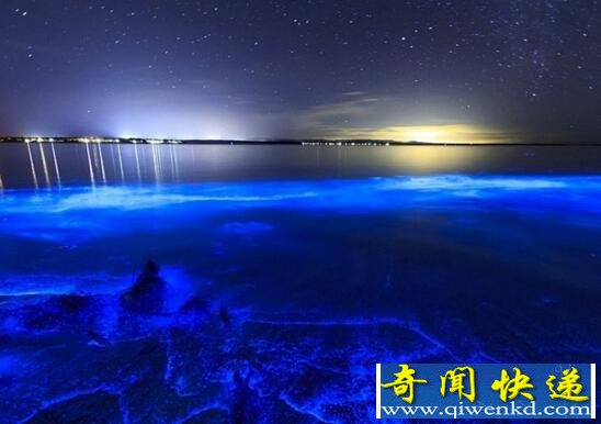 世界上最美丽的海滩,荧光海滩会发光(太美了)